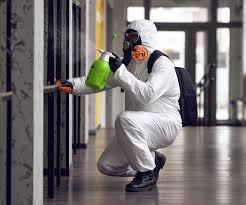 Biohazard Mold Removal in Fort Davis, TX